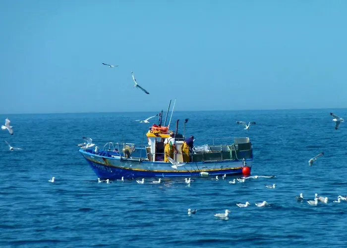 Innmare Fortuna Dos Estrellas 酒店